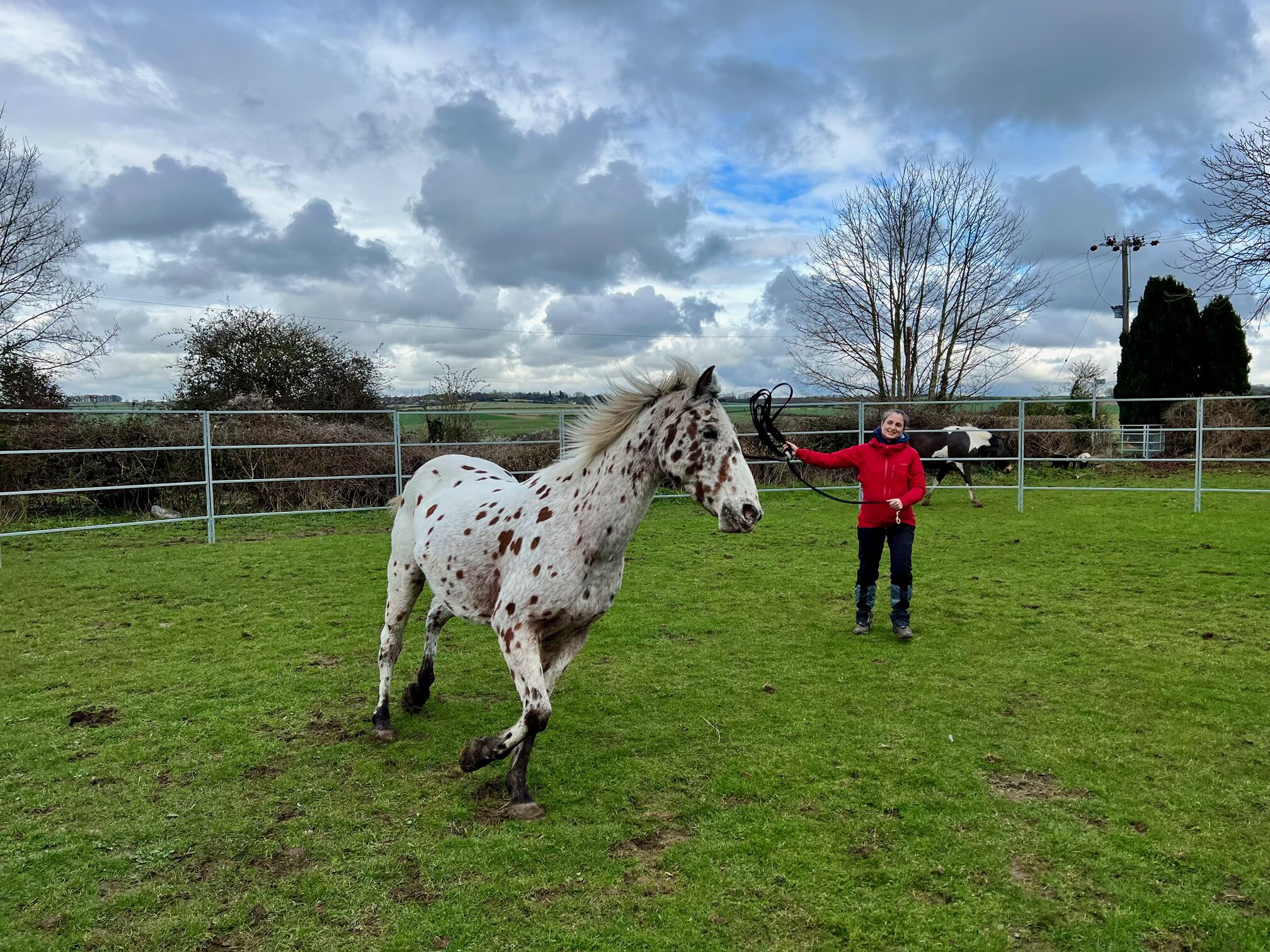 Equine-assisted coaching session outdoors in a field with facilitator and white horse